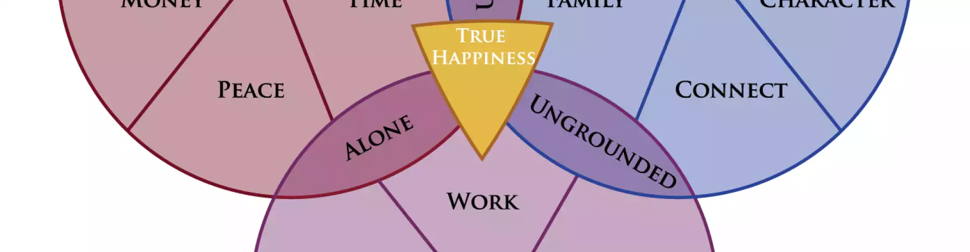 The True Happiness Matrix, Finding Lasting Happiness and Fulfillment